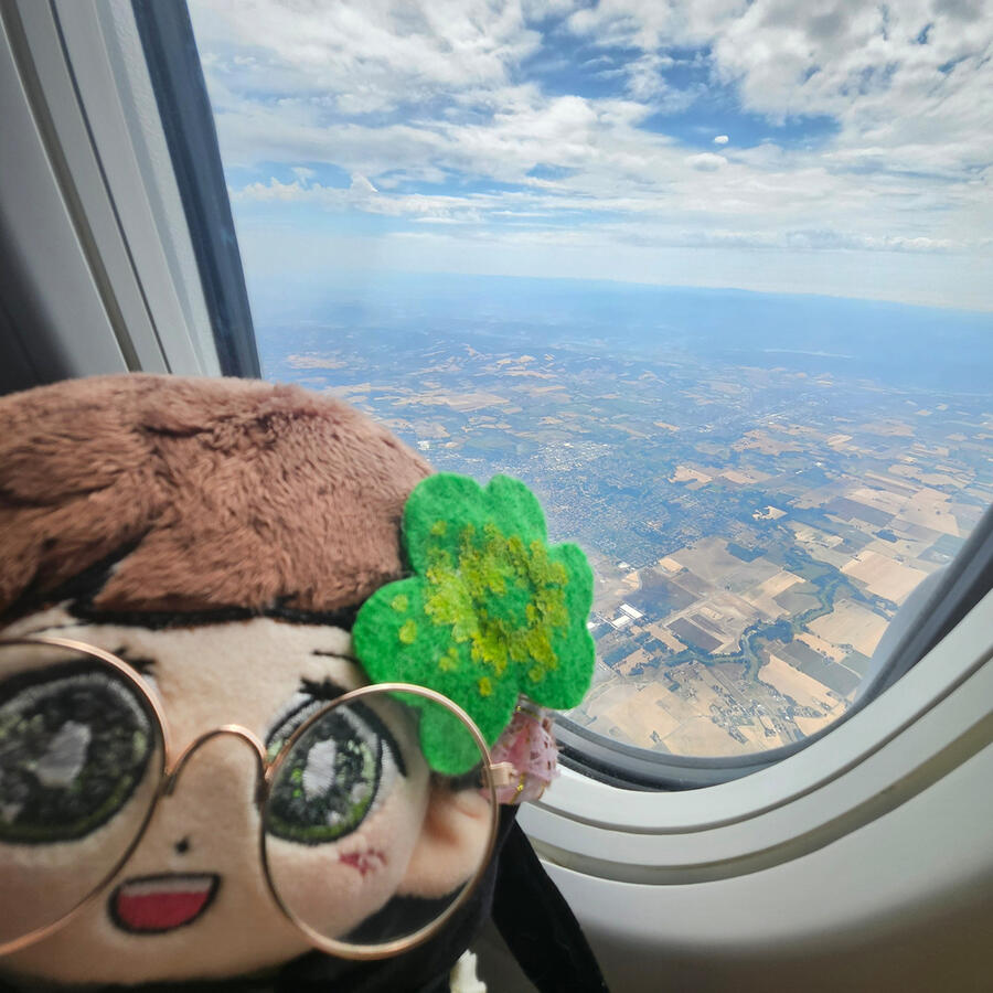 cloverdoll looking out the window, coming home from vegas.